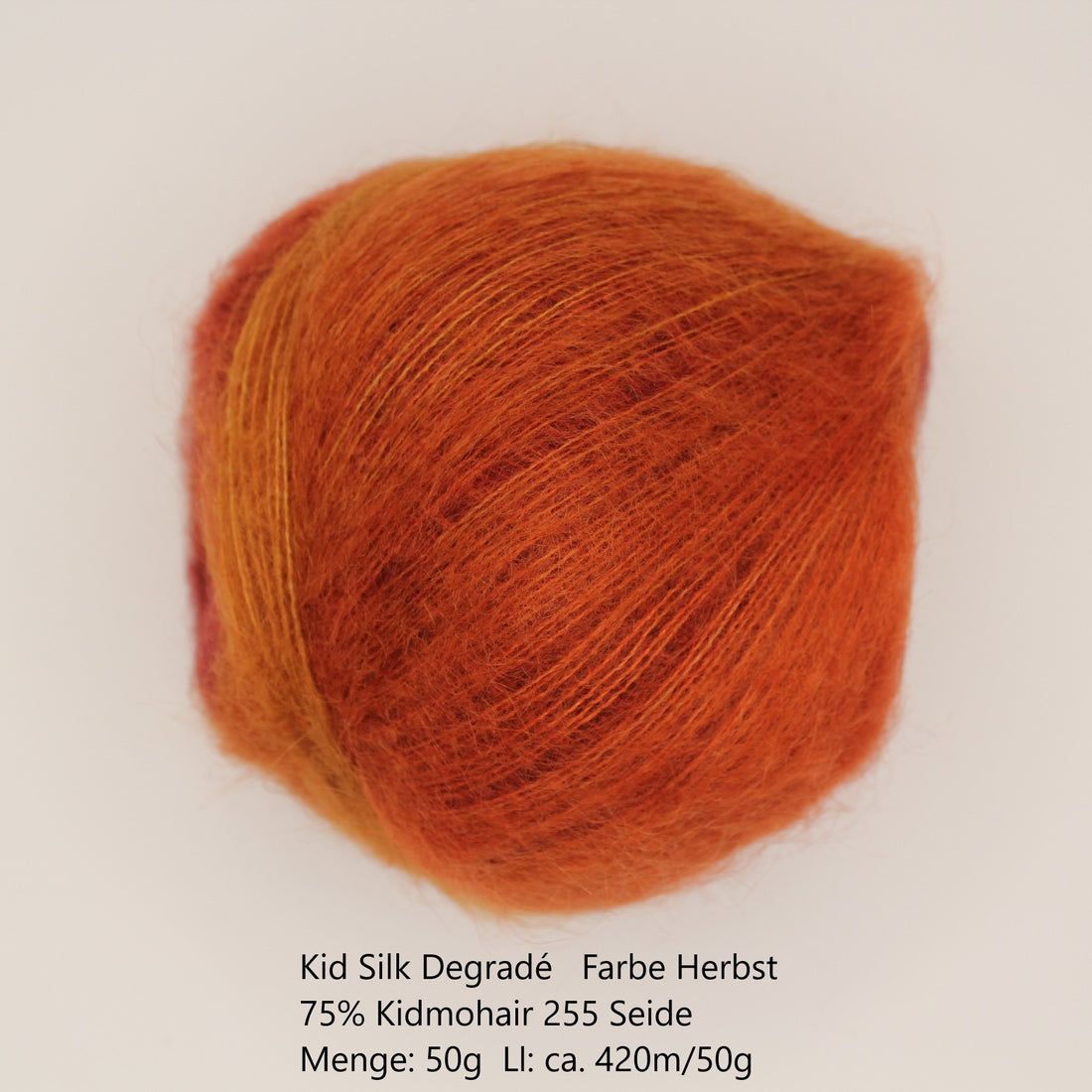 Kid Silk Degradé Garn Herbst