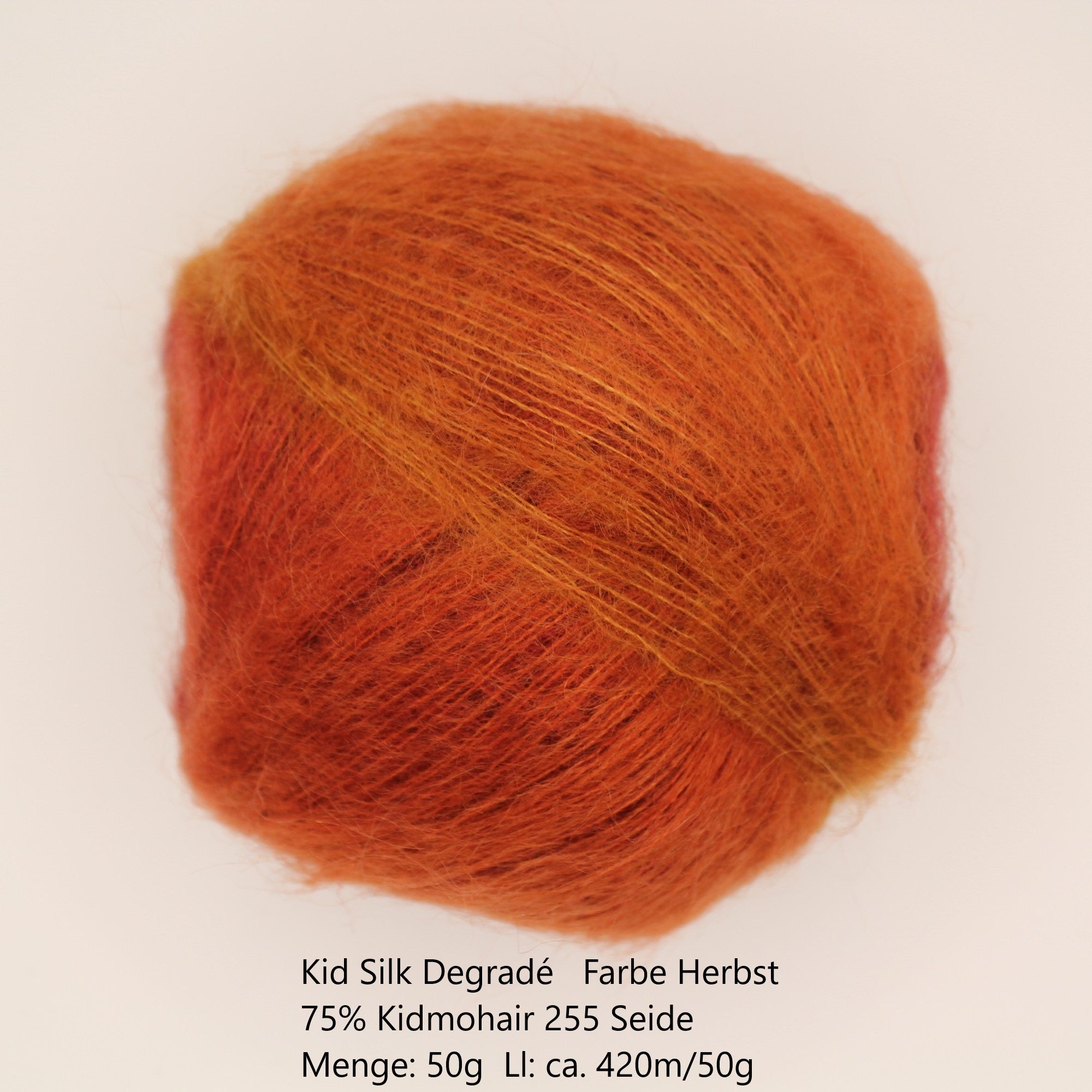 Kid Silk Degradé Garn Herbst